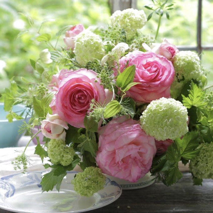 Pousse Pousse 京都 花 アトリエ プーゼ Fleuriste Magasin Pousse Pousse Pousse 京都 花 アトリエ プーゼ Fleuriste Magasin Pousse