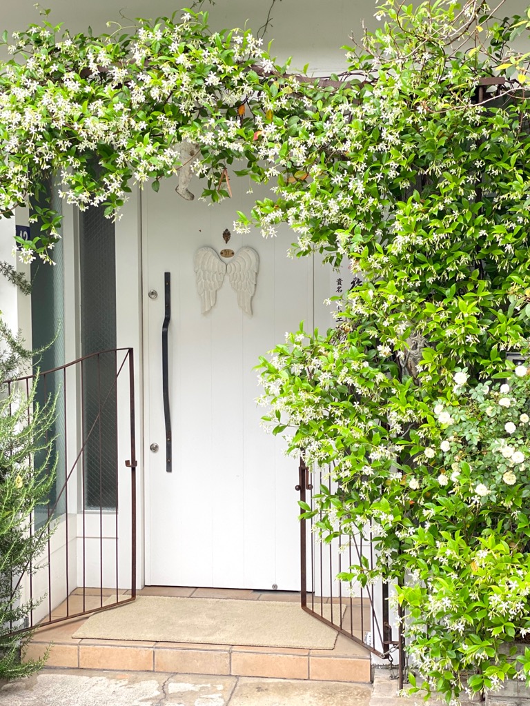 ばらとジャスミン Pousse